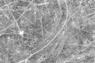 Last year's grass under spring transparent ice close-up, top view. Monochrome natural abstract background