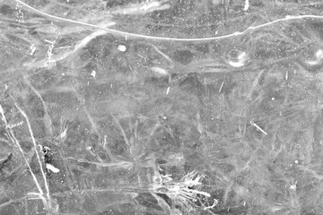 Last year's grass under spring transparent ice close-up, top view. Monochrome natural abstract background