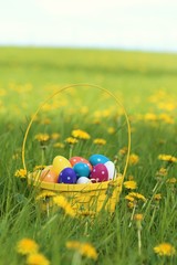 Easter holiday. easter eggs set in a yellow basket on green grass in a field.Bright easter colorful background.Spring Religious April Holiday.