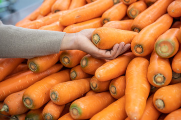 Woman hand choosing fresh carrot from the pile in the supermarket. Shopping for fresh produce , hand close up