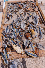 Fish dryers on the beach of Nazare in Portugal