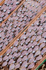 Fish dryers on the beach of Nazare in Portugal