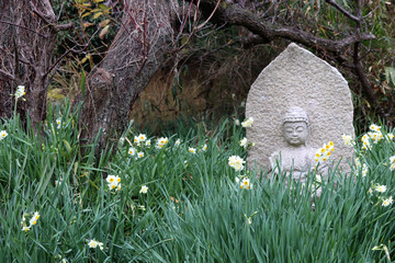 Statue en pierre de Bouddha au milieu des fleurs de narcisses au temple Hannya-ji (Nara-Japon)