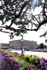 Blomrabatter p&aring; Karl XII:s torg med kungliga slottet i bakgrunden