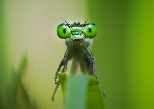 You Don't See Me