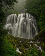 Fototapeta premium Waterfall in the Forest - Foggy - Oregon