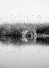 Lake and river landscape. Reef reflection in water, mocnochrome and geometric picture