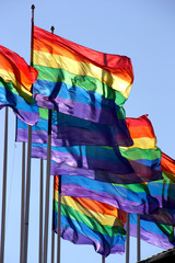 Regnbågsflaggan/Prideflaggan