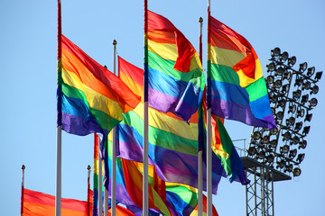 Regnbågsflaggan/Prideflaggan.
