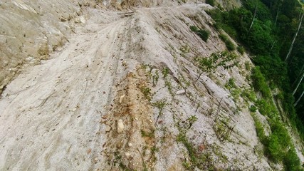road in the forest