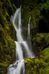 Fototapeta premium Waterflow in Oregon - Oregon Waterfall 