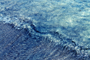 Abstracts textures and garden photography