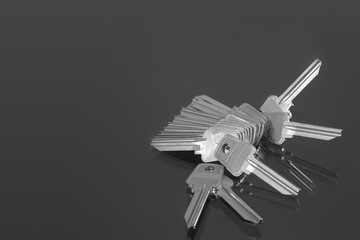 Blank metal keys on a grey background