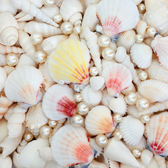 Abstract seashell selection with scallop, cockle, conch and turritella shells with oyster pearls forming a background. 