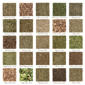 Large medicinal herb selection used in alternative herbal medicine in square piles isolated on white background with titles.