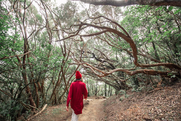 Woman dressed casually in red shirt and hat hiking in the beautiful rainforest, traveling on Tenerife island, Spain. Wide landscape view