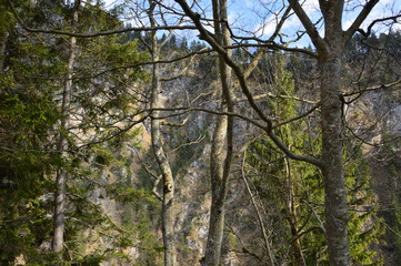  Bavaria (Germany). April 2017. Alpine nature