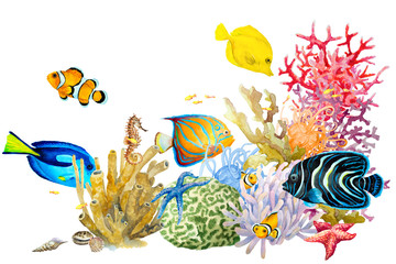Reef with colorful corals, fish, sponge, anemones, starfish on a white background, hand drawn watercolor.