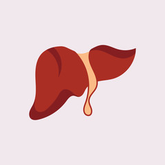 Liver Icon Flat logo Style Organs Of The Human template Design