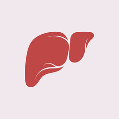 Liver Icon Flat logo Style Organs Of The Human template Design