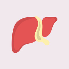 Liver Icon Flat logo Style Organs Of The Human template Design