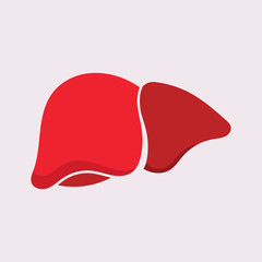 Liver Icon Flat logo Style Organs Of The Human template Design