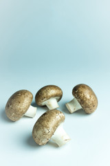 Close up view of fresh mushrooms on white surface on grey background with copy space