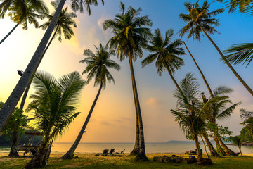 Obraz na płótnie Canvas The beach koh kood a sea thailand in the beautiful sunset time