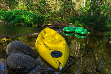 Kayaks in the creek In nature