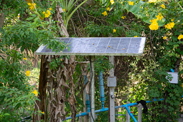 Solar panel in nature