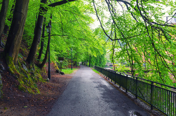 Embankment promenade of Tepla river with alley of trees and street lights in Karlovy Vary...