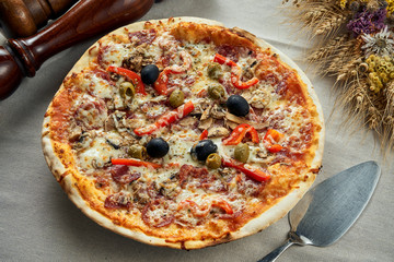 Close up view on Appetizing with melted cheese, smoked sausages, bell peppers, olivesб salami and parmesan on a linen gray tablecloth in a restaurant. Italian cuisine. Food flat lay