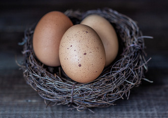 Easter eggs in nest closeup