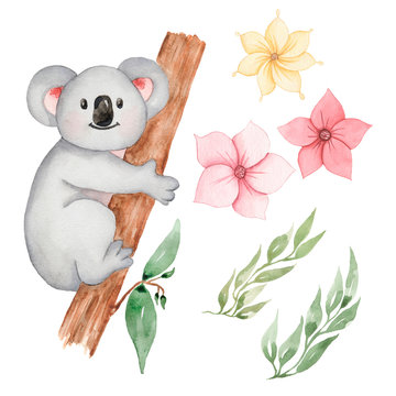 Watercolor Koala animal clipart. Baby bear, greenery anf florals in neutral color clip art. Baby shower, birthday party, nursery art PNG files DIY. Cute forest animal sitting on the tree set.