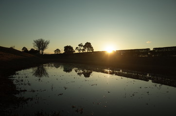 水たまりに反射する太陽