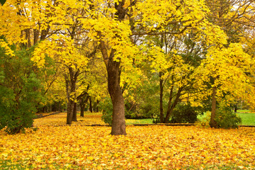Naklejka premium Park in Narva. Estonia
