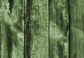 Fototapeta na wymiar old olive wooden background, toned. Old grunge dark textured wooden background,The surface of the old green wood texture
