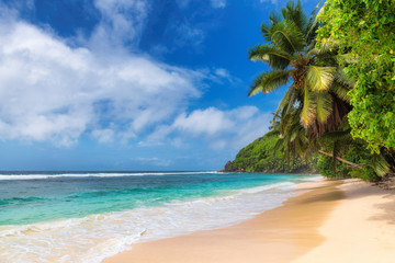 Sunny tropical beach with coco palms and turquoise sea. Summer vacation and tropical beach concept.	