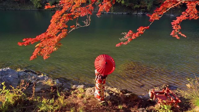 An Asian woman wearing Japanese traditional kimono with red umbrella standing with red maple leaves or fall foliage at Arashiyama river in Autumn season during travel vacation trip in Kyoto, Japan.