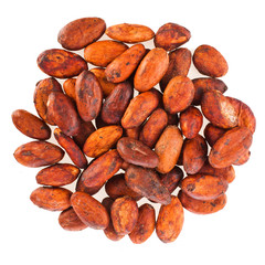 Heap of cacao beans isolated on a white background. Top view.