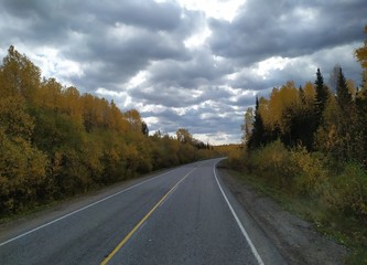 Fototapeta premium road in autumn