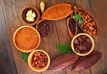 Cacao beans and powder, cacao butter and cacao nibs with chopped chocolate on a wooden background.