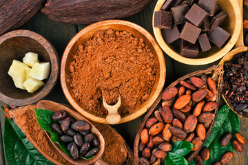 Cacao beans and powder, cacao butter and cacao nibs with chopped chocolate on a wooden background.