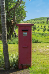 Fototapeta na wymiar red post box next to a palm tree