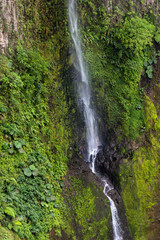 Fototapeta na wymiar Catarata del toro Waterfall near Poas Volcano, Costa Rica