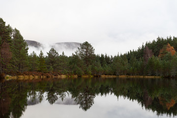 Uath Lochan, Kincraig, Scotland, UK