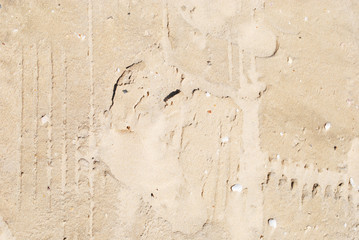 Golden Sand on the beach as background. Sand Texture. Golden sand. Background from fine sand.