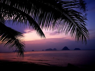 Fototapeta na wymiar violetter Sonnenuntergang Palmen