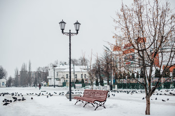 bench in the park in winter