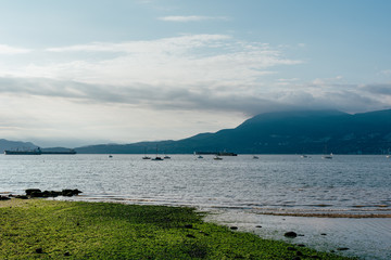 The Kitsilano Beach in Vancouver in Canada VII